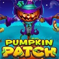 imgi_158_SGPumpkinPatch